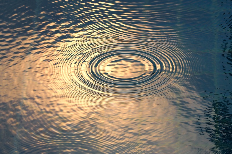 Own Your Ripple Effect - Mary Shores [Free Worksheet]